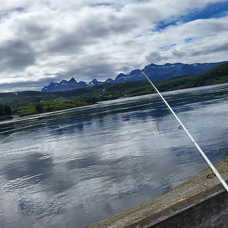 Sokkelleilighet Rett Ved Saltstraumen Bodø Esterno foto