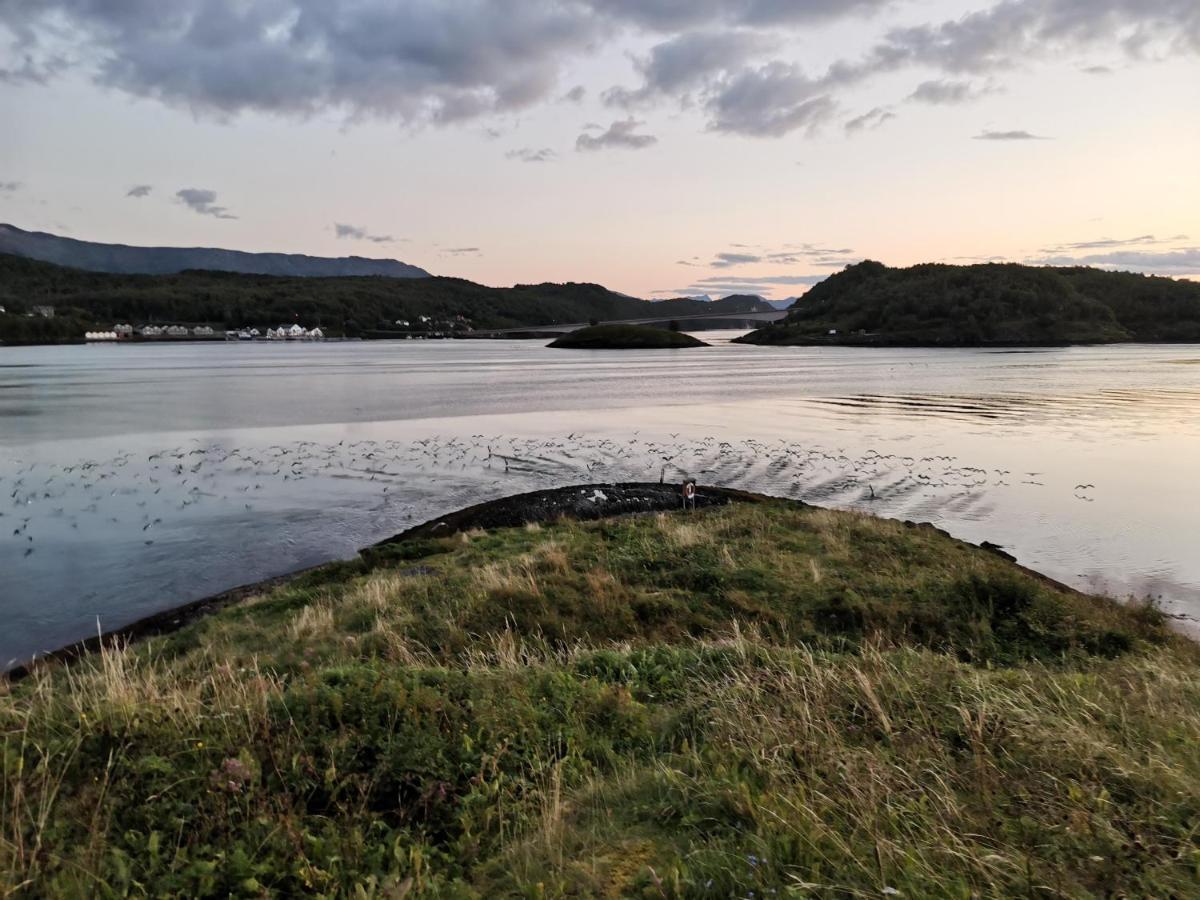 Sokkelleilighet Rett Ved Saltstraumen Bodø Esterno foto
